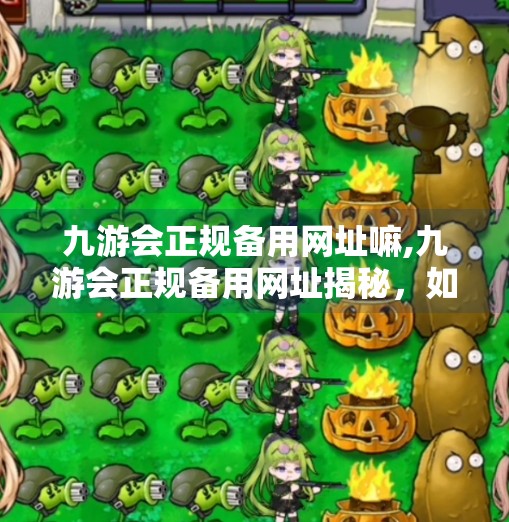 九游会正规备用网址嘛,九游会正规备用网址揭秘，如何辨别真假平台，保障你的游戏权益？