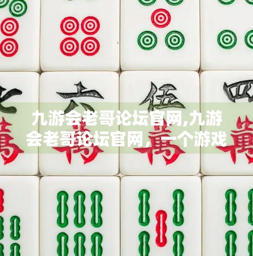 九游会老哥论坛官网,九游会老哥论坛官网，一个游戏迷的精神家园，为何值得你深入了解？