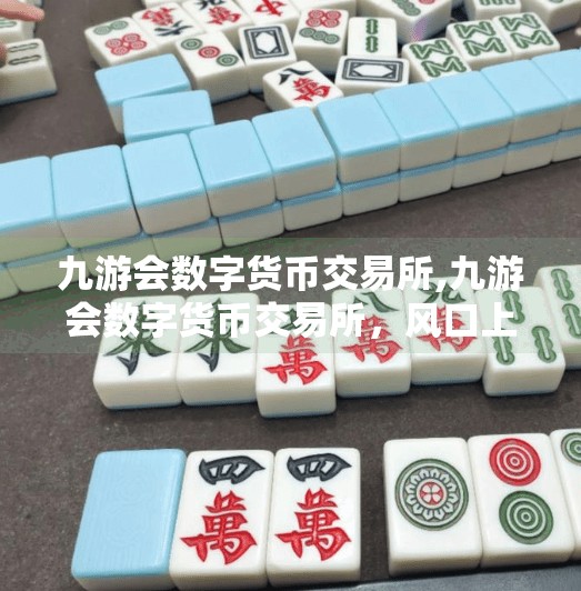 九游会数字货币交易所,九游会数字货币交易所，风口上的数字金矿还是风险陷阱？