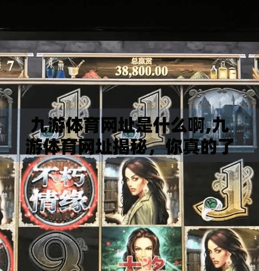 九游体育网址是什么啊,九游体育网址揭秘，你真的了解这个热门体育平台吗？