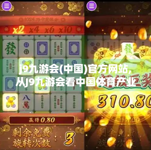 j9九游会(中国)官方网站,从J9九游会看中国体育产业的数字化跃迁之路
