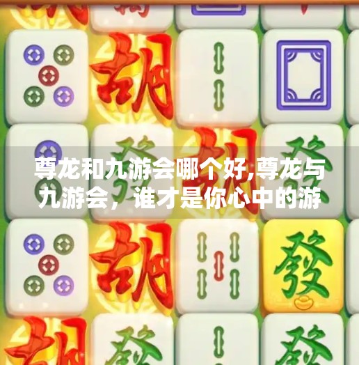 尊龙和九游会哪个好,尊龙与九游会，谁才是你心中的游戏之王？